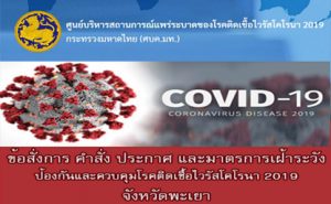 http://www.phayao.go.th/covid/